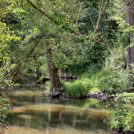 בית נופש Gorgeous In With Wifi Irrhausen