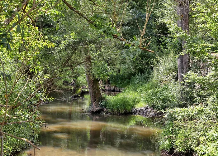 בית נופש Gorgeous In With Wifi Irrhausen