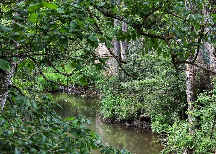 בית נופש Gorgeous In With Wifi Irrhausen