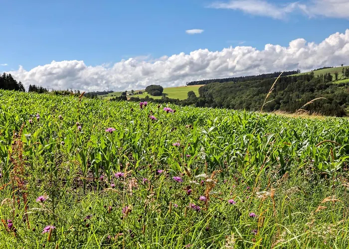 בית נופש Gorgeous In With Wifi Irrhausen